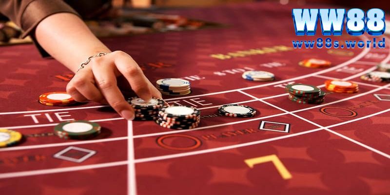 Cược Baccarat hấp dẫn 