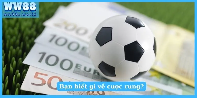 Bạn biết gì về cược rung?