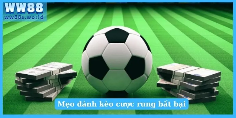 Mẹo đánh kèo cược rung bất bại